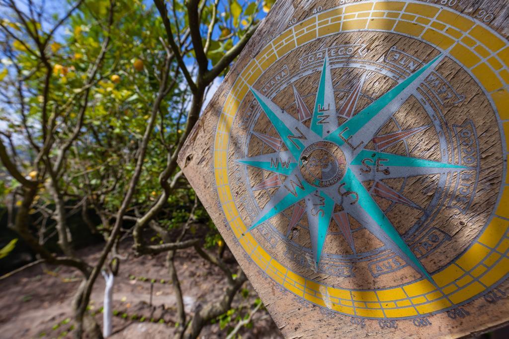 Nitrodi Experience Pensionat Barano dʼIschia Exteriör bild