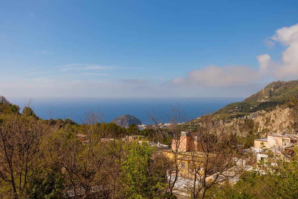 Nitrodi Experience Pensionat Barano dʼIschia Exteriör bild